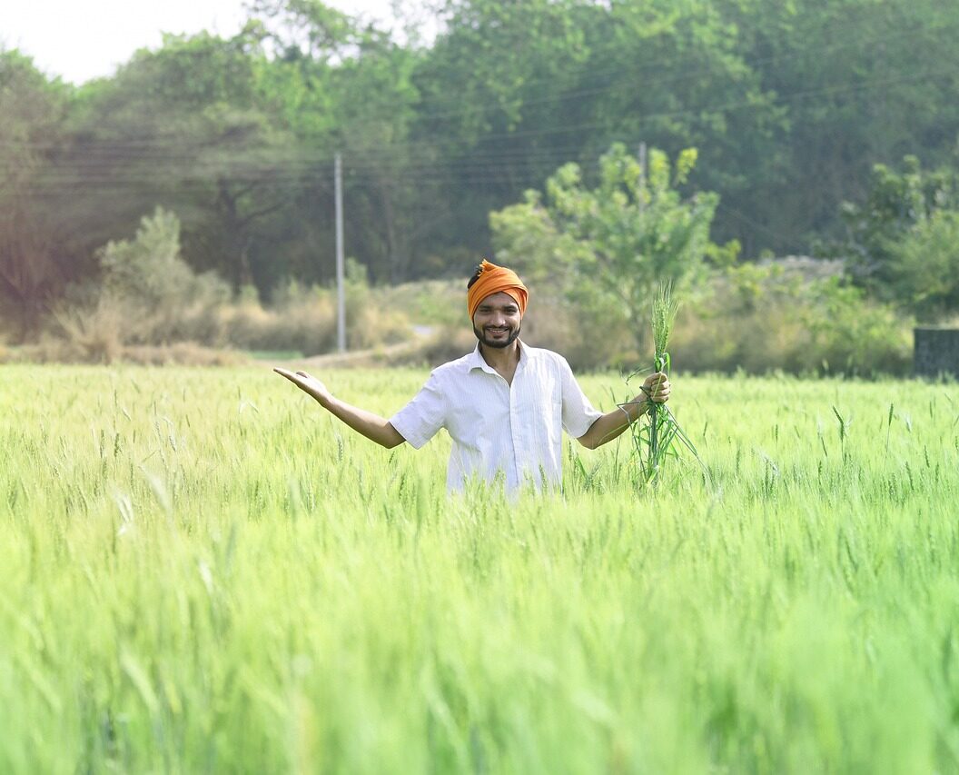 man, agriculture, farmer-6660389.jpg